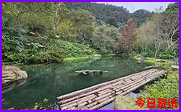 厦门最值得去的景点排名