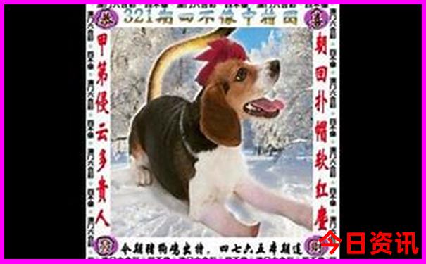 湖州长兴县旅游必去的景点