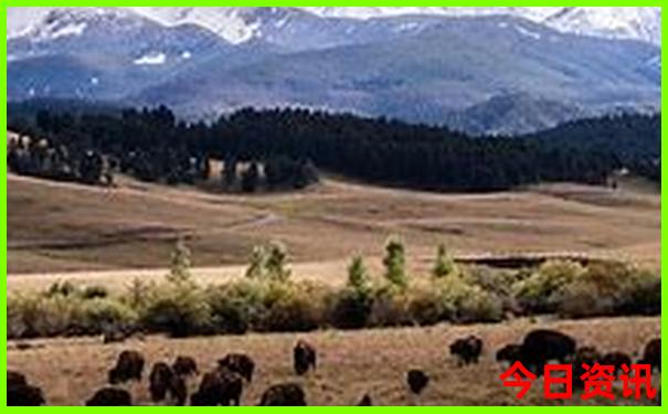 山东旅游攻略最全最好的线路